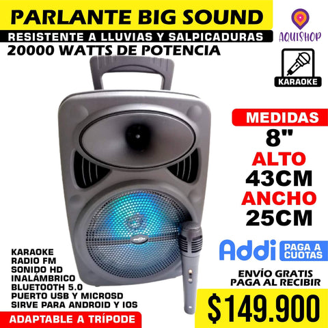 PARLANTE BIG SOUND 8"